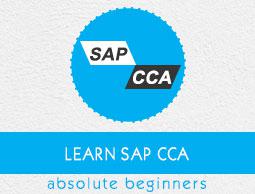 SAP CCA Tutorial