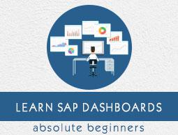 SAP Dashboards Tutorial