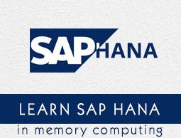 SAP HANA Tutorial