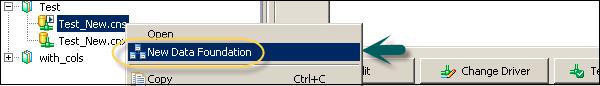 Data Foundation Layer