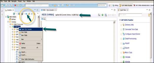 SQL Editor