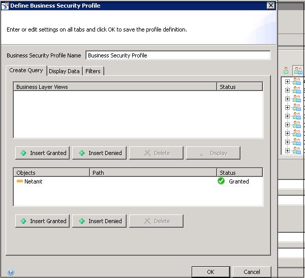 Define Business Security Profile