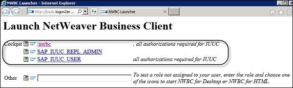 Launch NetWeaver