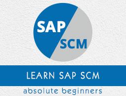 SAP SCM Tutorial