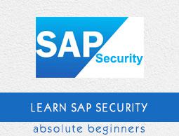 SAP Security Tutorial