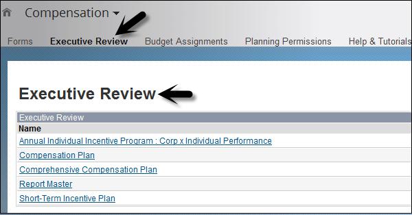 Executive Review
