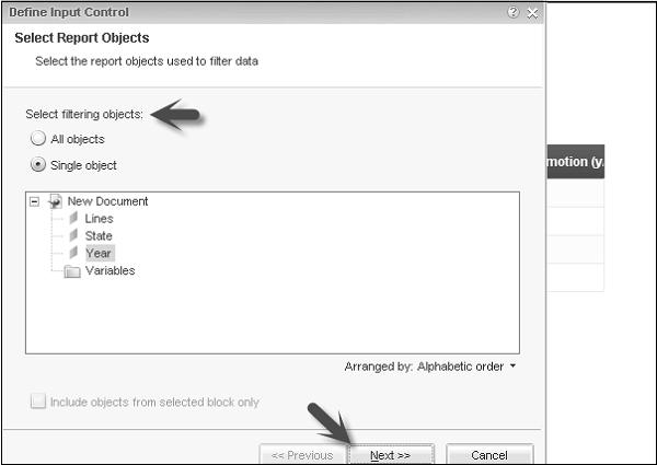 Select Report Objects