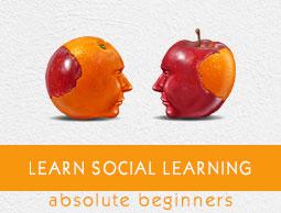Social Learning Tutorial