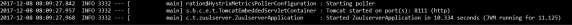 Started Application on Tomcat Port_8111