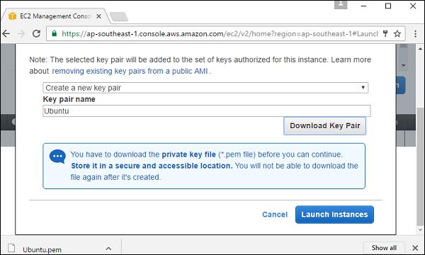 Click Launch Instance Button