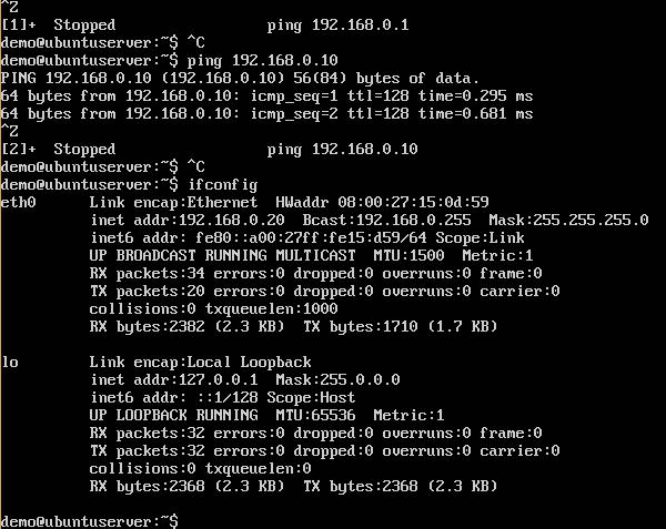 Ubuntu IP Address
