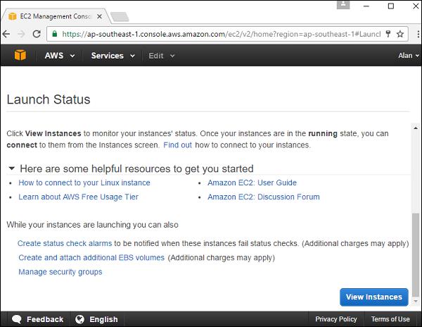 View Instances Button