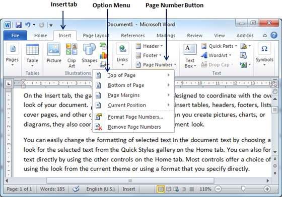 Page Number