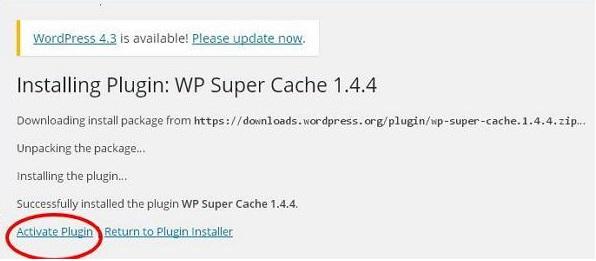 Wordpress Plugin Settings