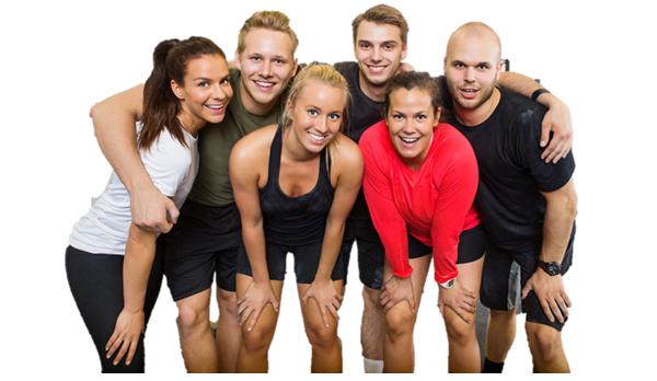 Wellness Program