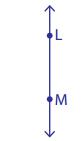 Naming Segments, Rays, and Lines Online Quiz 3.9