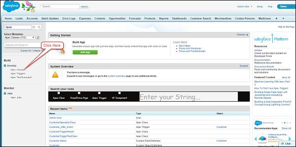 Creating Apex Class from Detail Page Step1