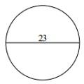 Circumference Quiz 2_1