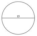 Circumference Quiz 2_2