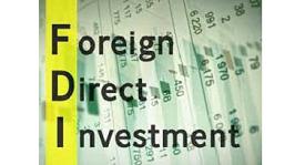 Foreign Direct Investments (FDI)