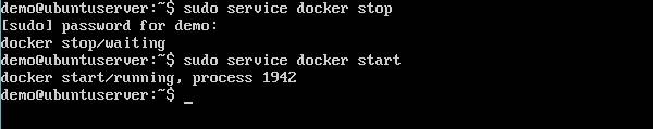 Service Docker Start