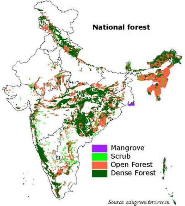 National Forest