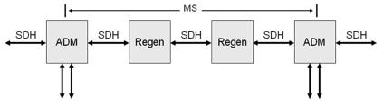 Multiplex Section Overheads