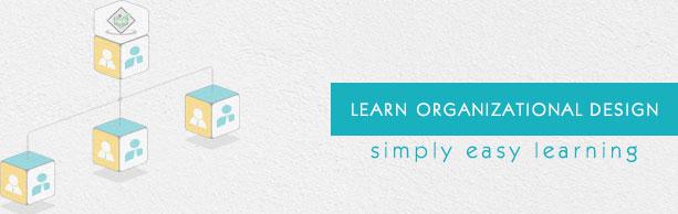 Organizational Design Tutorial