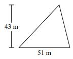 Area of a triangle Quiz7