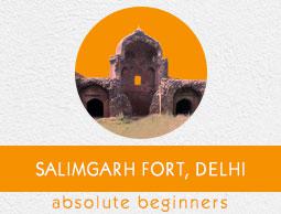Salimgarh Fort Tutorial