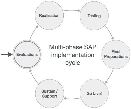 SAP Multiphase Project Lifecycle