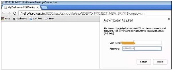 Authentication Window