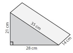 Triangular Prism Using Net2
