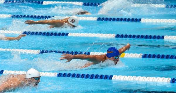 Individual Races